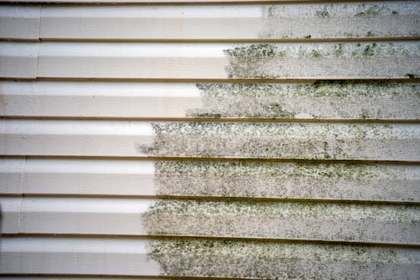 Best Basement Cleanout  in Denham Springs, LA